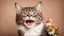 Placeholder: laughing adult cat on the Broun background with little flower