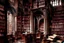 Placeholder: castle library