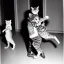 Placeholder: Old Creepy photo of new years eve cats dancing