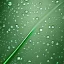 Placeholder: waterdrops on green leave, photorealistic, high quality, 8k , details, macro zoom