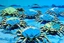 Placeholder: A blue archipelago with crabs painted by Andy Warhol