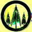 Placeholder: woods pine tree icon