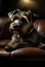 Placeholder: A dog on the couch , 90mm studio photo, hyperrealistic