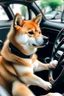 Placeholder: Picture of Shiba driving a car.