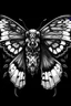 Placeholder: beautiful black and white realistic moth with skull body and with woman eye on the center of each upper wing