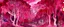 Placeholder: A pinkish purple and reddish magenta forest with fungi designed in cave paintings painted by Jackson Pollock