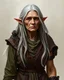 Placeholder: an old female elf with long silver hair, D&D art very old, wrinkly, poor clothes, missing one arm