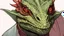 Placeholder: Generate a dungeons and dragons character portrait of the face of a Male lizardvolk rouge with chameleon eyes and a lose armor