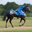 Placeholder: Took the work from a horse Gave it an engine Copied the wings from a bird They just had to fly
