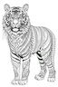 Placeholder: outline art for an Adult coloring page, Tiger with a white background, Sketch style, full body, only use outline< Mandala style, clean line art, white background, no shadows and clear and well