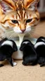 Placeholder: 4 small puppies drinking milk from a cat
