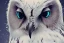 Placeholder: snow OWL RAVEN