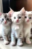 Placeholder: Soft color kittens