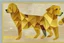 Placeholder: style of paul klee Golden retriever dog