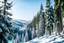 Placeholder: snow covered pine forest in the mountain