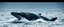 Placeholder: “static documentary photograph” → kills action behavior “no interactions between subjects” → prevents story hallucinations “single whale / isolated subject” → stops group chaos removing verbs like breaching violently / dramatic / epic helps a lot