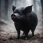 Placeholder: Black ghost pig