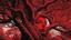 Placeholder: red tree, highly detailed, beautiful desktop wallpaper, comic style, human faces on tree