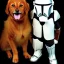 Placeholder: Cat and dog, hot disco mandalorian, party, chicken