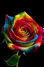 Placeholder: una rosa multicolor