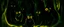 Placeholder: A dark greenish black shadow realm with glowing eyed imps painted by Alexej von Jawlensky
