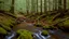 Placeholder: stream running through a rocky clearing in a pine forest