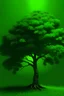 Placeholder: green tree