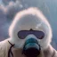 Placeholder: subject = (Yeti in a mask) background = (wildfires, mountains, fires, smoke, disaster)