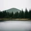 Placeholder: A polaroid photo of a group of fir trees in the background and a high hill in the distance. A person. A lake. The surface below is in a pastel color. Fog is present.
