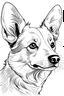 Placeholder: corgi drawn outline simply short hair