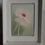 Placeholder: tiny oil painting of single long stem pressed flower, tiny white canvas, tiny white modern frame, melancholy, tender, moody, vintage, delicate arrangement, beautiful composition, etsy, aesthetic layout, plain solid white background