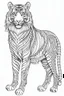 Placeholder: outline art for an Adult coloring page, Tiger with a white background, Sketch style, full body, only use outline< Mandala style, clean line art, white background, no shadows and clear and well