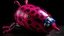 Placeholder: A magenta wind elemental ladybug designed in ancient Greek mosaics painted by Stuart Davis