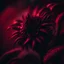 Placeholder: darkred tones, high lighting, nature, plants, wildflower, intricate, 8k, macro photography,