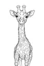 Placeholder: outline art for cute giraffe coloring pages, white background, sketch style, full body, only use outline, clean line art, white background, no shadows and clear and well