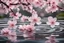 Placeholder: cherry blossom falling on water creating beautiful ripples