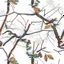 Placeholder: detailed Real Tree Camouflage made of sticks, twigs, tree bark, dried oak leaves, pine branches, snow and dirt, white background, seamless repeatable texture pattern imitating a natural forest background, add details