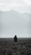 Placeholder: A field of barely at the end of the picture gray background an giant dark shadow of a hooded figure standing in under blurry , a huge mountains in the background cinematic, 8k