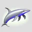 Placeholder: a realistic illustration of a Dolphin, detailed