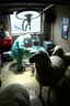 Placeholder: low res cctv footage of forbidden medical procedures preformed in a garage surounded by sheep with "Rabies"