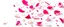 Placeholder: photo of a white background image with rose petals and glitter stars