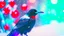 Placeholder: Capture a striking image of a crow with a Christmas hat in the snowy landscape, staring directly at the camera. Embrace the festive mood, showcasing the unique combination of the crow in a wintry setting with a touch of holiday cheer.