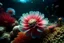 Placeholder: aquarium, nostalgia, anemone, sand, ocean, wonder, detailed, beautiful, flower, depth, bountiful