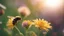 Placeholder: flowers in my garden, bee comes to find food. High resolution (4K or 8K), Golden hour light, Detailed textures