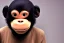 Placeholder: donald chimp