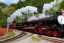 Placeholder: Fantasy steam train