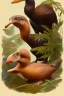 Placeholder: John James Audubon-like illustration of a fully uncropped Dodo bird and a Platypus