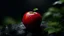 Placeholder: A vibrant red apple sitting on a wet rock covered with moss. The image showcases naturalism . The background emphasizes the apple body creating a bright and powerful composition,grey dark backround,dramatic scene