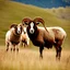 Placeholder: Longhorn sheep meet bighorn cattle.