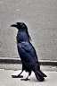 Placeholder: One single mature homeless crow with worn out clothes, sitting in a corner on the street, guitar standing on the left side, Vienna, mourning, perfect iris, model style, hyper realistic, extremely accurate, delicate, extremely detailed, Graphic novel style, wide-angle, open aperture, superfine pencil